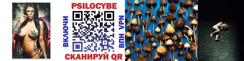Псилоцибиновые грибы Psilocybine cubensis  Новоузенск 